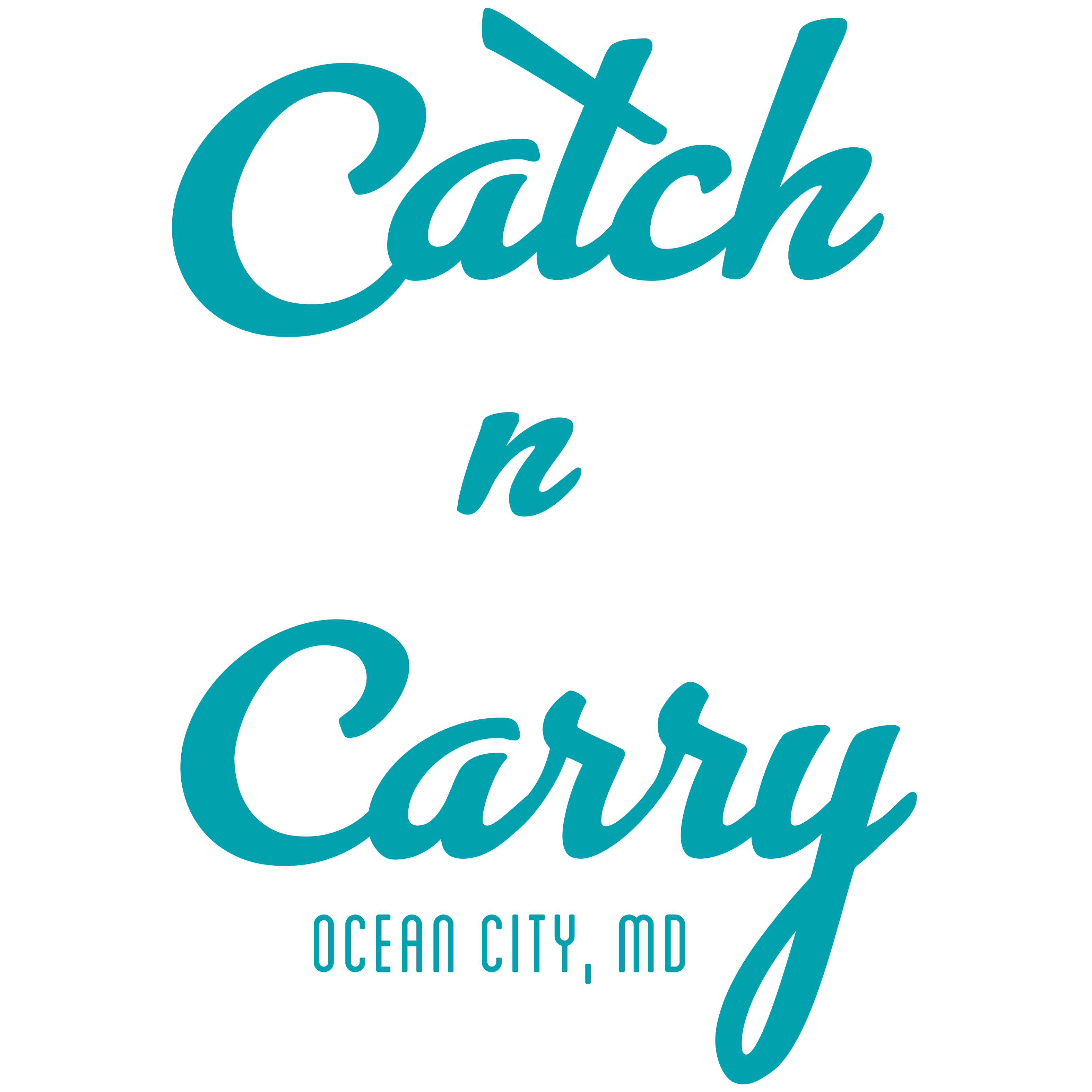 Contact Catch N Carry